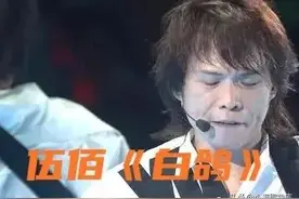 关于歌曲伍佰《白鸽》背后隐藏的“血泪故事”图片