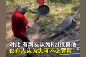 白发男子用平底锅击退2.5米长鳄鱼：它太靠近游客，需要被教训图片
