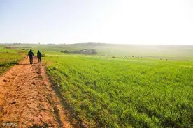 中国农民谈在俄罗斯种地：这儿检查厉害，我已经好几年不用农药了图片