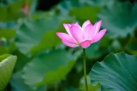 年底了，致帮过我的贵人！图片