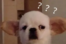 8万班费账目公开后不能平息质疑，屡被吐槽的家委会到底该做些什么？图片