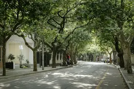 这个最豪横的街道，也是上海居住地段的顶点图片