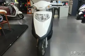 本田小踏板谁才是精髓所在？图片