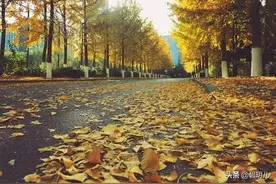 迟到的缘分：我的辛酸求子之路图片