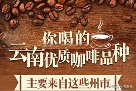 全是干货！把云南咖啡喝明白了图片
