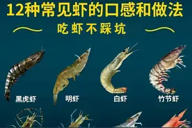 吃虾不踩坑图片
