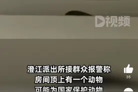 110和119联手抓蛇发现是灯带，报警人：以为是国家保护动物图片