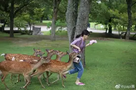 papi酱近况：35岁，钱有了、过气了、不买房的她，认怂了图片