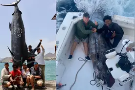 南非渔民捕获621公斤大西洋蓝枪鱼 仅次吉尼斯纪录图片