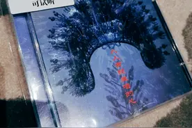 二手玫瑰，音乐中的东北力量图片