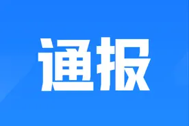 自然资源部通报2024年国家自然资源督察发现的80个违法违规重大典型问题图片