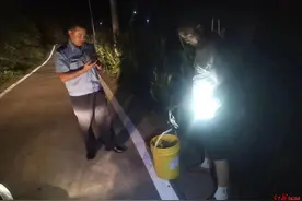 两女子捉癞蛤蟆被捕揭开背后链条：发展村民当下线，提取蟾酥每斤卖3000元图片