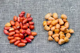 同样是花生，“白皮”和“红皮”的区别很大！知道后别再乱买了图片