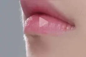 我本将心向明月图片