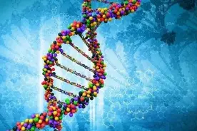 火化后的骨灰主要是什么成分？基因还在吗？图片