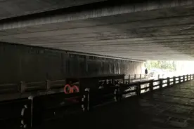 杭州流浪汉河救猫引关注 自称百万富翁 判决书透露秘密图片