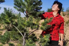 1985年，陕西女孩被迫嫁到沙漠几次逃离失败，15年后国家为她颁奖图片