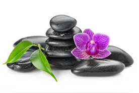 风水学上为什么不能养兰花？图片