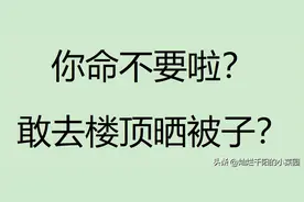一文说清||高层楼顶天台归谁所有？能晒被子吗？能养狗吗？图片