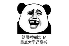 蚌埠住了！6元的一个小游戏，竟让网友回想起了驾考的噩梦经历？图片