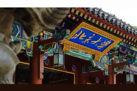 武汉大学，你的招聘启事惊着我了！原来中小学教师也这么“值钱”图片