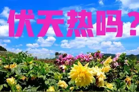 天气预报：2022年伏天热吗？农谚“热不热，就看小满”，啥预兆？图片