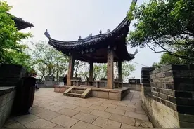 人性的真相图片