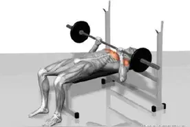 健身七大项——简单粗暴练遍全身图片