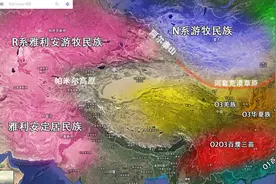 汉族如何从最初古羌脸，演变成今天不同类型？以明星脸型为例图片