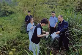 聚焦湘西基层公安法医现场，《入职后的我们》讲述每个人的“有味”与“有为”图片