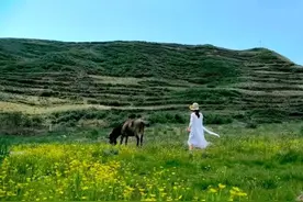 兰州方言流传下来的民间俗语（一)非常经典，值得收藏图片