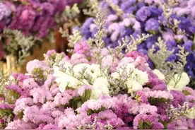 侄女的婚礼仪式上，叔叔语重心长的一段话，打动了现场所有人图片