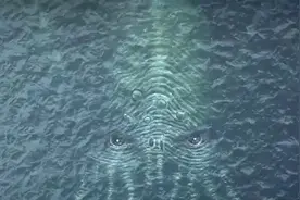 尼莫点是地球上最可怕的地方，它有什么可怕之处？传言有海怪？图片