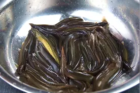 夏天泥鳅要多吃，教你1个特色做法，香辣无腥味，下酒下饭真过瘾图片