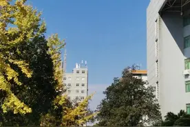 大学应不应该当班委呢图片