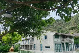城商行风采 | 浙江泰隆商业银行：“沃土计划”绘就乡村振兴美丽画卷图片