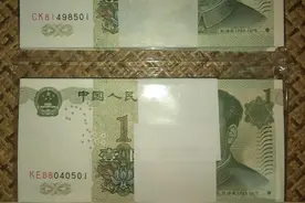 如何分辨“991大叶兰”？图片