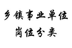 乡镇事业单位，岗位分类有哪些？图片