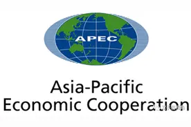 灵活地应用英语（153 - APEC）讲解图片
