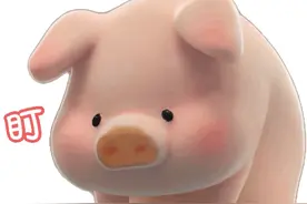 表情包：最火猪猪表情包-lulu猪图片