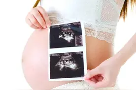 在日本怀孕的日子图片