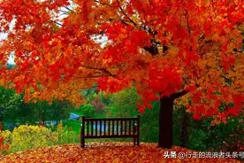 搞笑句子一箩筐，反手就是一个大写赞！图片