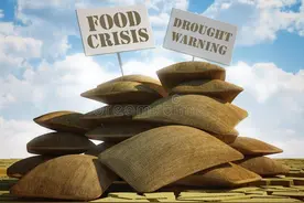 粮食大危机正在酝酿，小麦被毁事件却接连发生，记者：谁给的胆子图片