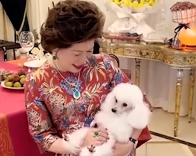 燕窝花胶 有钱人都吃 2026年燕窝花胶有用吗