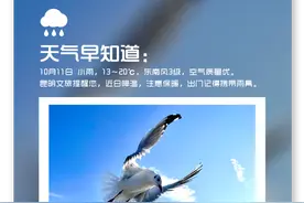 “先头部队”已抵昆，它们又回来啦！ | 昆明文旅动态图片