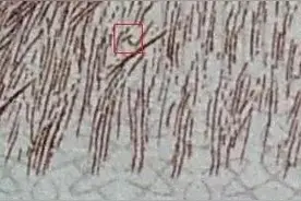 人民币“暗记”小百科，原来这么有意思图片