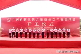 发挥供销优势 助力乡村振兴 ——广西供销三鹤六堡茶生态产业园项目开工图片
