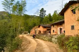 河南一村庄遭蛇群入侵，入夏后如何防止蛇进家？老农推荐3个方法图片