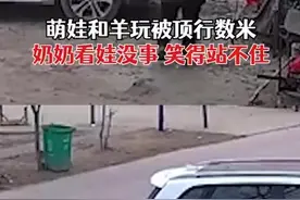 （视频）@太原人！萌娃和羊玩被顶行数米，奶奶冲上前确认无碍后笑得直不起腰图片