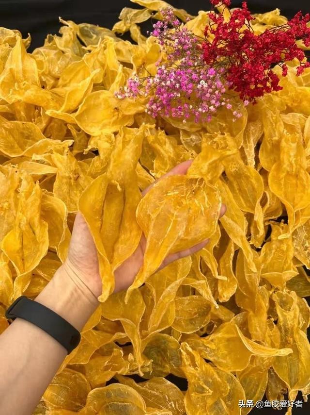 泰国会买到假花胶吗 2026年泰国会买到假花胶吗为什么